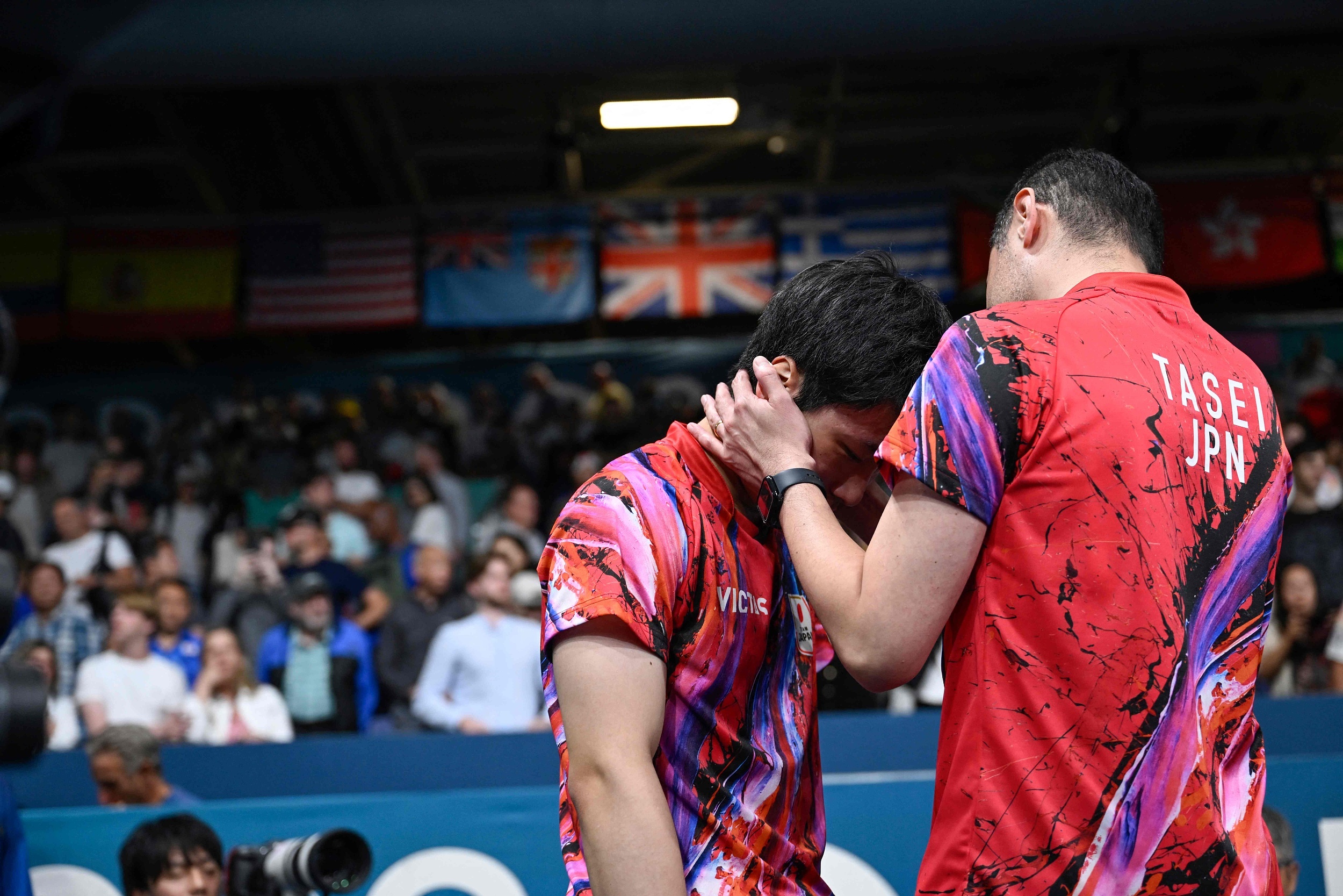 法国乒乓球队翻盘日本乒乓球队，水谷隼打破历史纪录的简单介绍