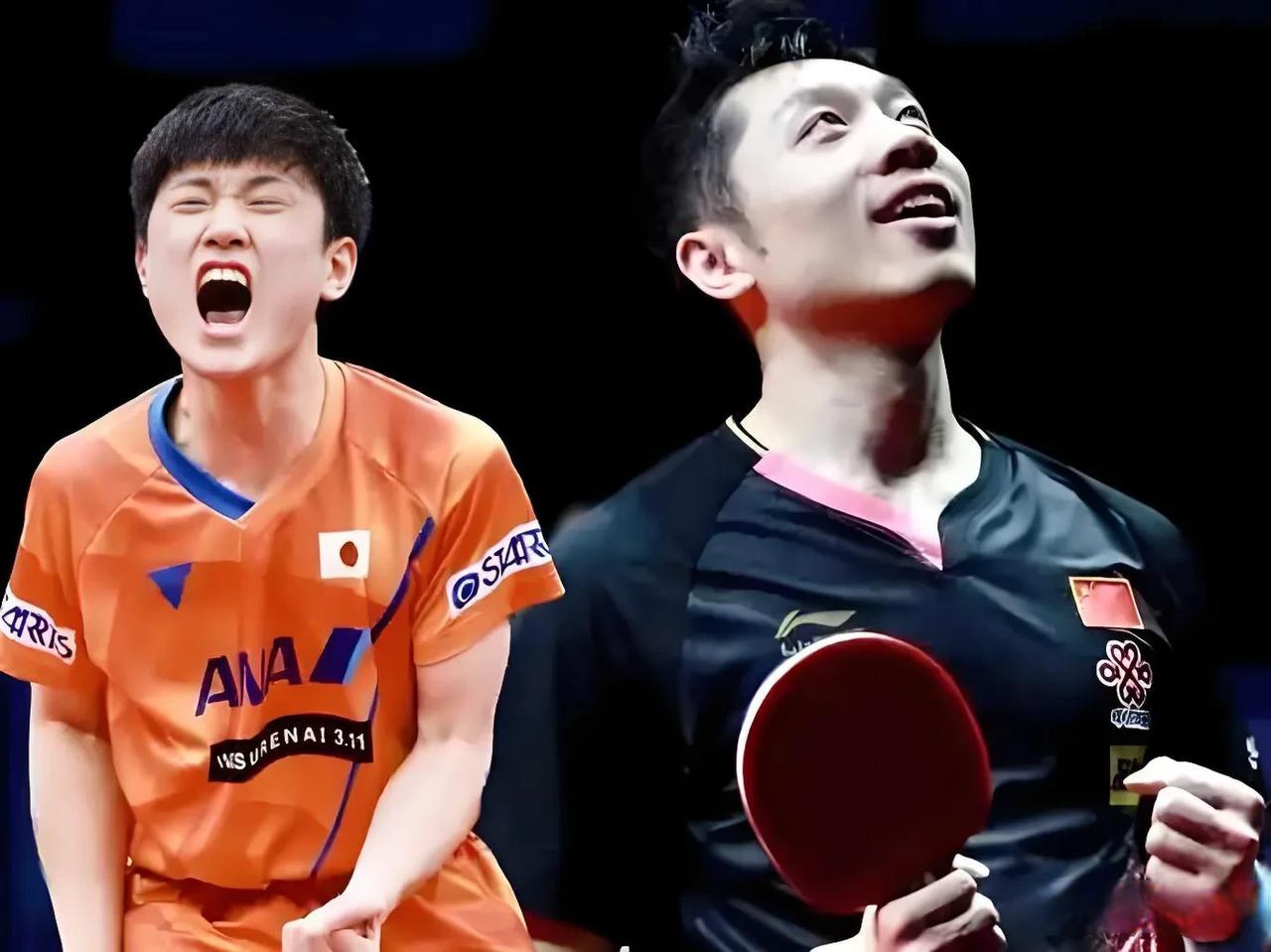 开云体育登录-比利时乒乓球队血洗法国乒乓球队，许昕送出助攻的简单介绍