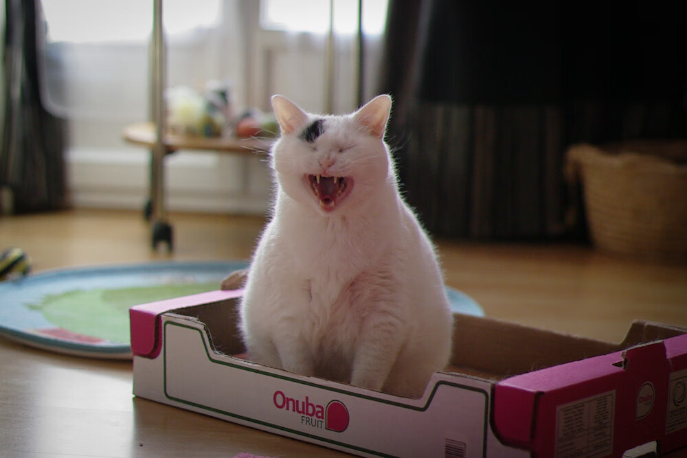 开云体育中国-关键先生詹姆斯，大场面上的永恒光芒