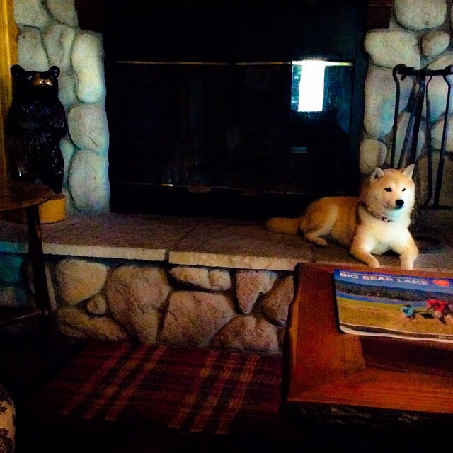 开云体育app-绝杀与统治，皇家社会压哨胜阿森纳，卡瓦哈尔西决生死战称王