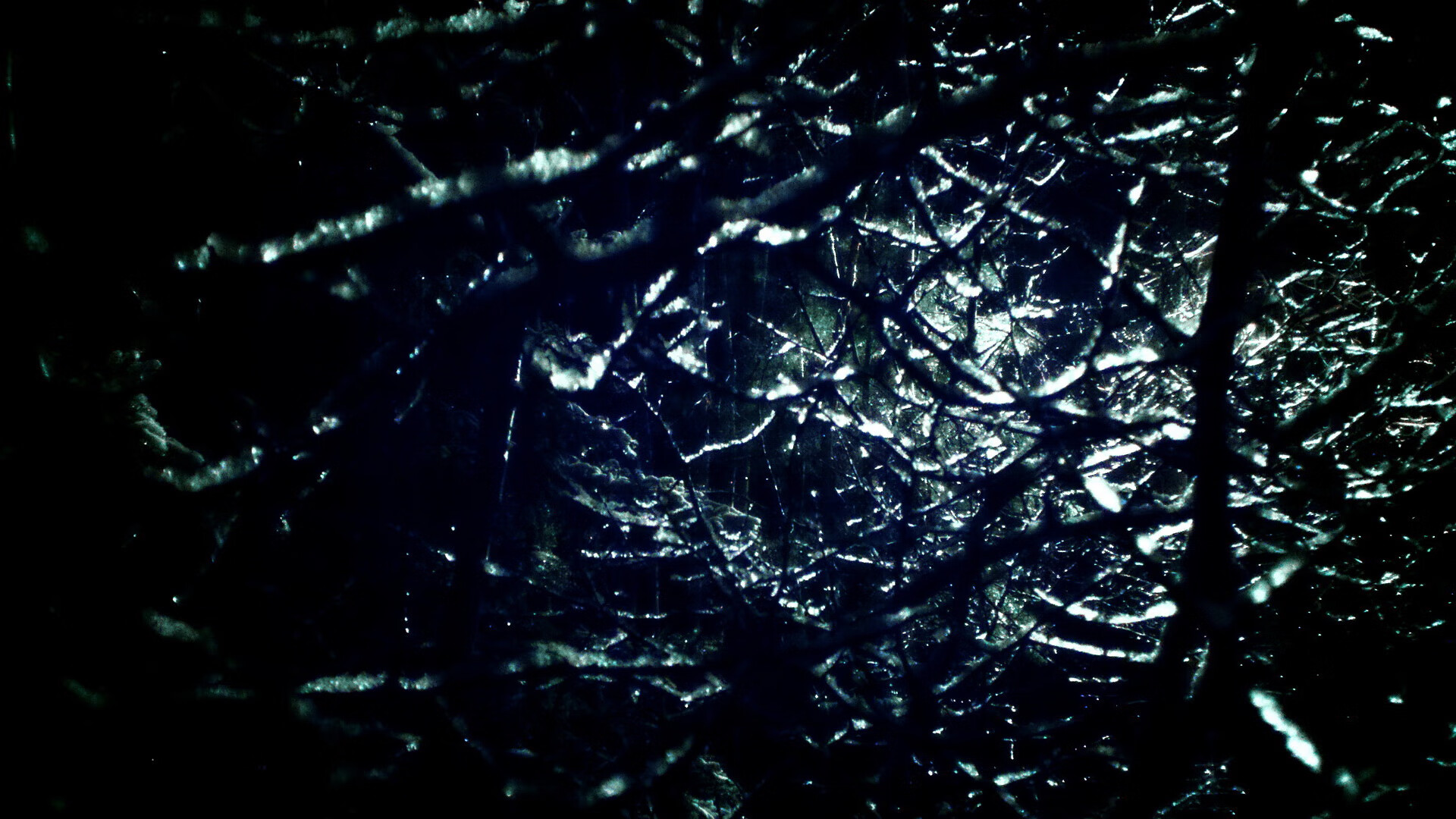 速度与围城,当F1年度争冠焦点战遇上太阳与广厦的鏖战