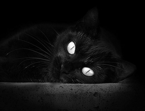 卡塞米罗的王者之风，塞维利亚与雷恩交锋中的全场统治