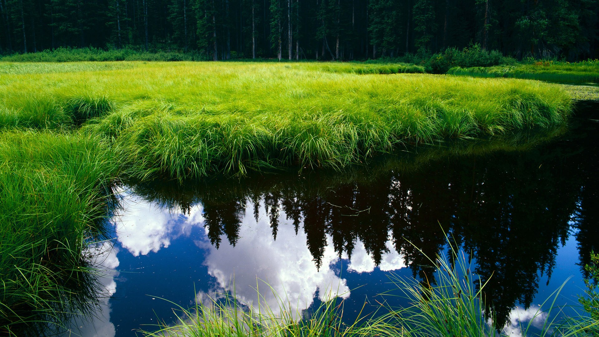 逆转之夜，当欧冠焦点战遇上爵士的华丽转身